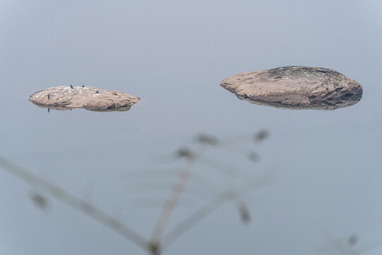 渠江小景