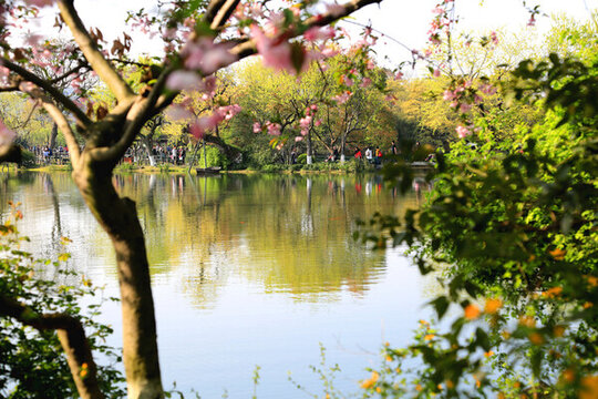 清澈湖水