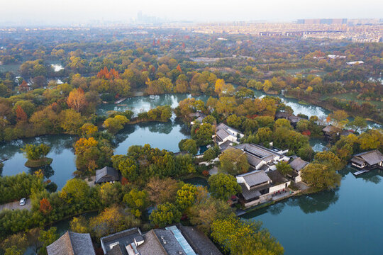 杭州市西溪濕地公園秋色晨霧