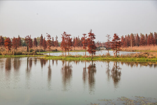 青西郊野公園