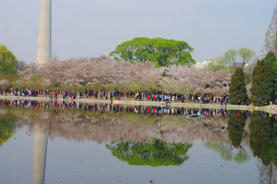 北京玉淵潭公園
