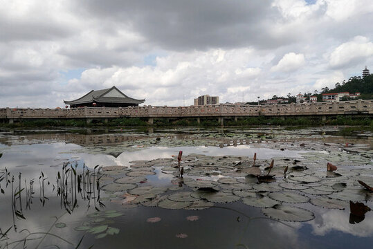 橋頭蓮湖