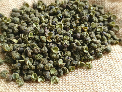 帶殼青花椒圖