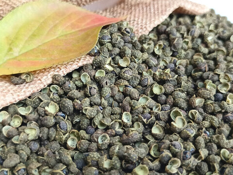 青花椒麻椒