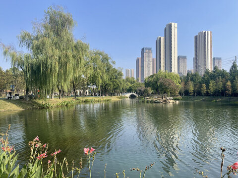 公園花草湖泊景觀
