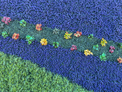 綠植工地圍擋墻