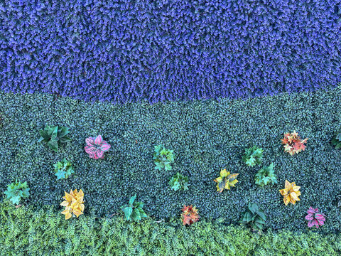 綠植工地圍擋墻