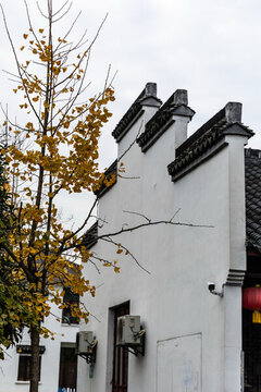 湖州荻港村