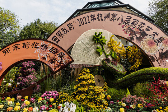 杭州植物園菊花展