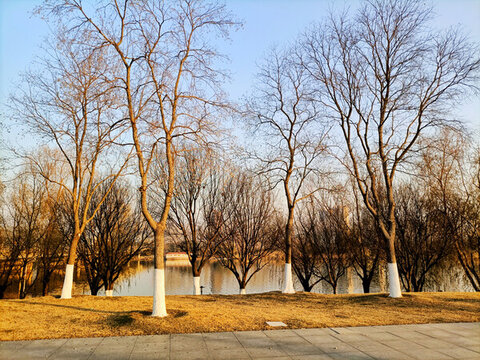 新沂沭河公園