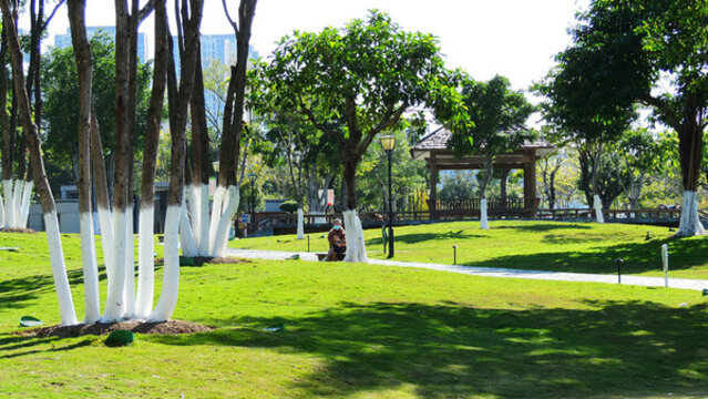 安靜午后公園