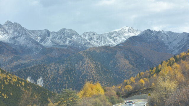 甘孜彩林雪山紅葉攝影天堂38