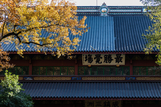 杭州靈隱寺秋色