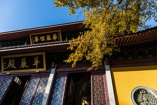杭州靈隱寺秋色