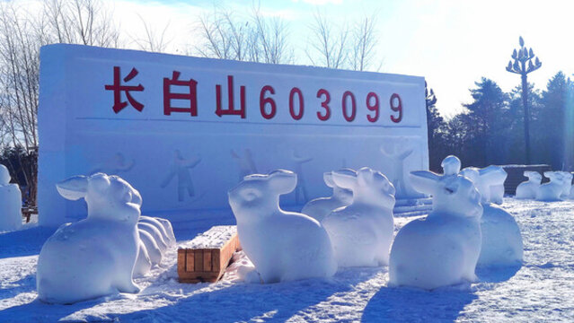 雪兔子