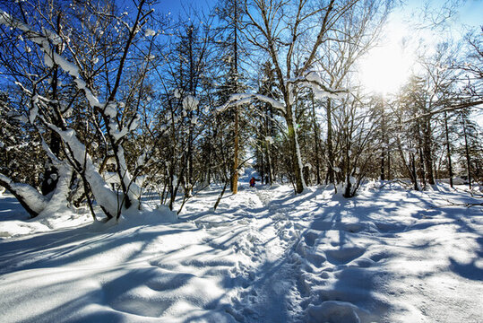 林海雪原