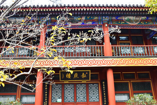 紫竹院