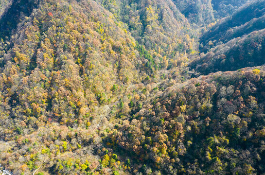 山溝