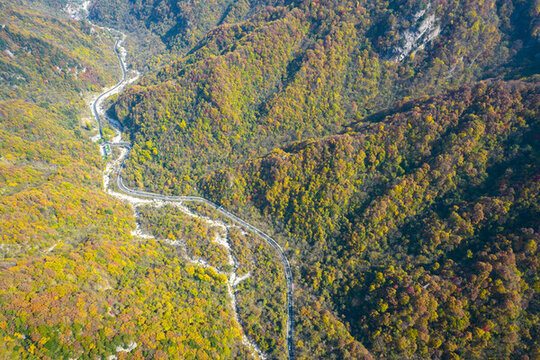 山路