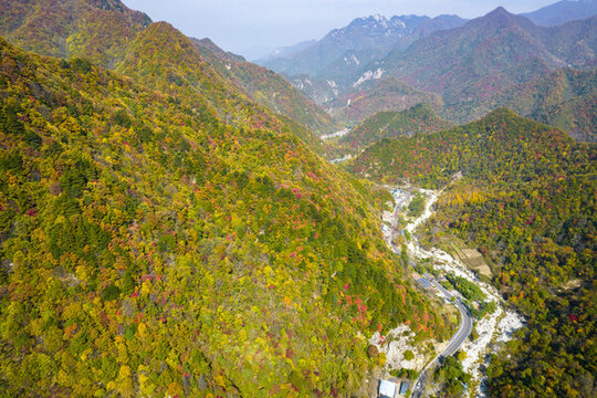 秋景