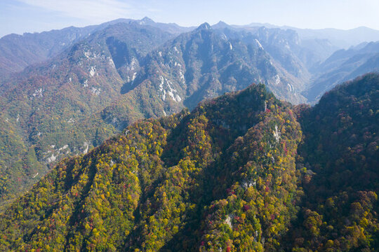 秦嶺山