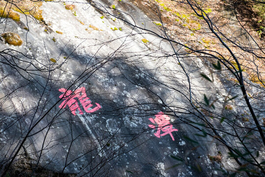 西安朱雀國家森林公園