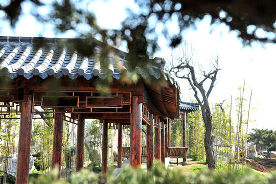 景區(qū)木長廊