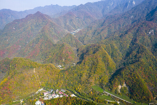 秦嶺山秋景