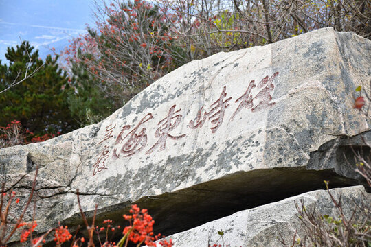 雄峙東海