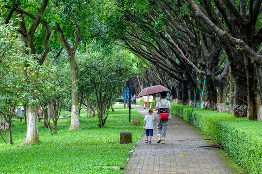 公園休閑生活場景