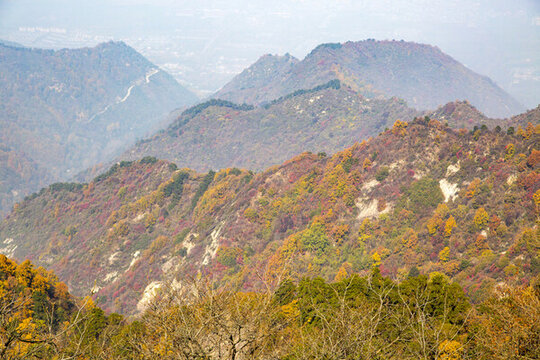 秦嶺秋景