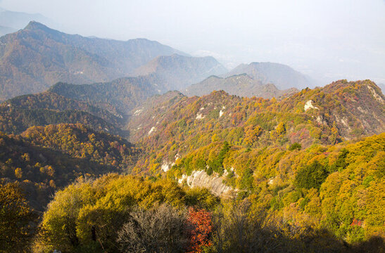 終南山秋景