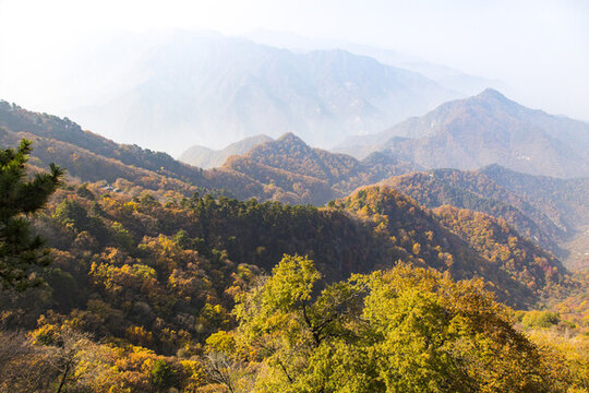 終南山
