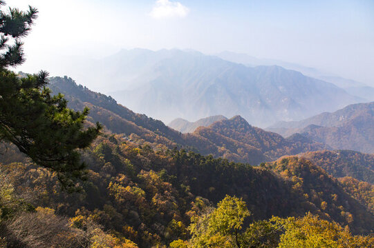 秦嶺風光