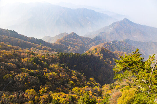 秦嶺秋景