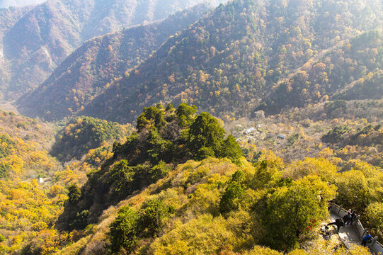 秦嶺秋景