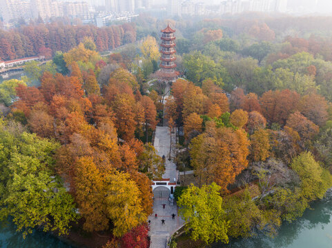 武漢解放公園深秋初冬航拍風(fēng)光