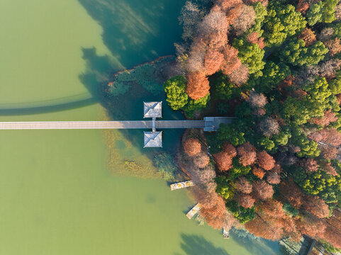 武漢東湖落雁島風(fēng)景區(qū)深秋風(fēng)光