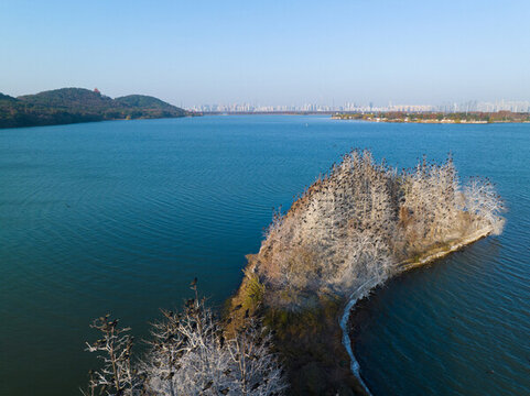 武漢東湖落雁島風(fēng)景區(qū)深秋風(fēng)
