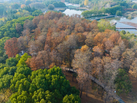 武漢漢陽月湖公園深秋風(fēng)光