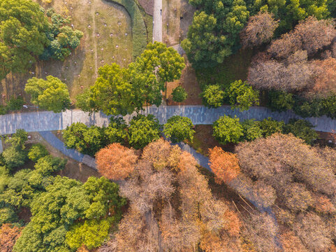 武漢漢陽月湖公園深秋風(fēng)光