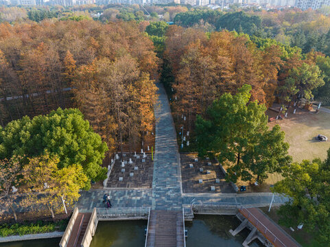武漢漢陽月湖公園深秋風(fēng)光