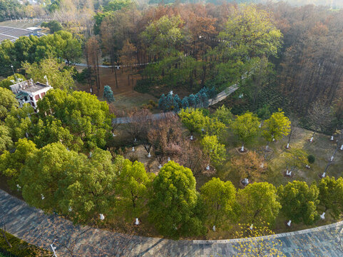 武漢漢陽(yáng)月湖公園深秋風(fēng)光