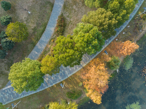 武漢漢陽(yáng)月湖公園深秋風(fēng)光