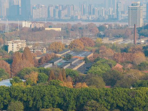 武漢漢陽(yáng)月湖公園深秋風(fēng)光