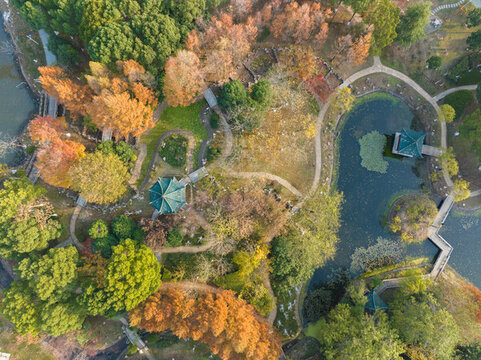武漢漢陽(yáng)月湖公園深秋風(fēng)光
