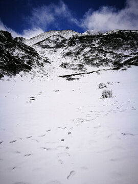 雪山上的足跡