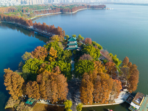 武漢東湖風(fēng)景區(qū)深秋風(fēng)光