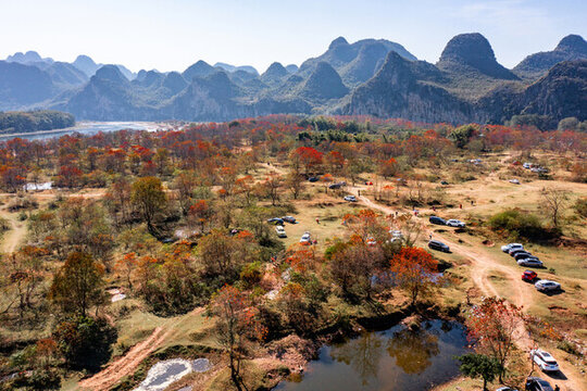 廣西桂林竹江烏桕灘景區(qū)紅葉