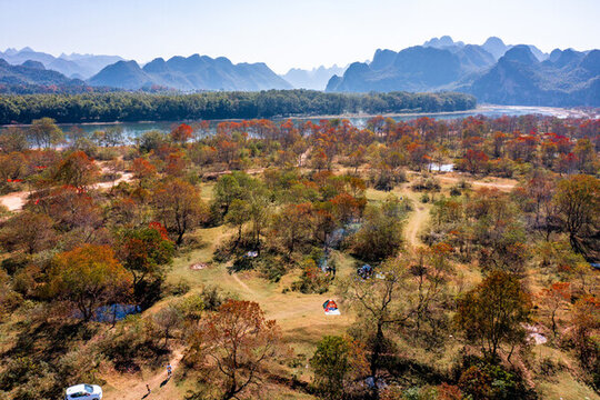 廣西桂林竹江烏桕灘景區(qū)紅葉